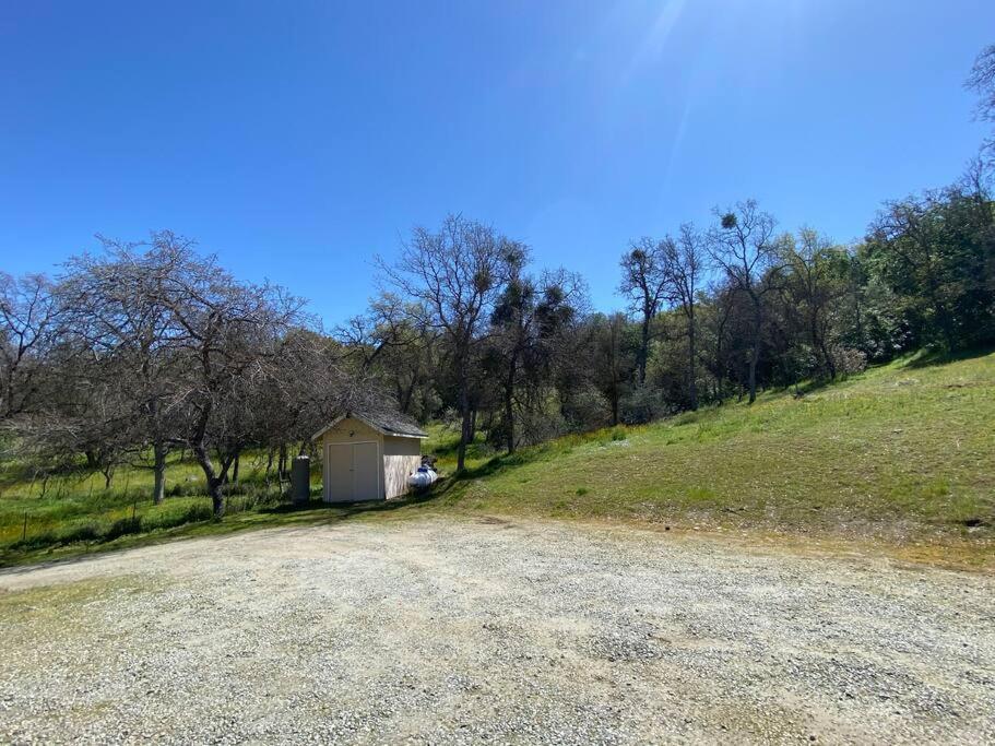 Waxberry Getaway Sequoia/Kings Canyon National Pks Yokuts Valley  Ngoại thất bức ảnh