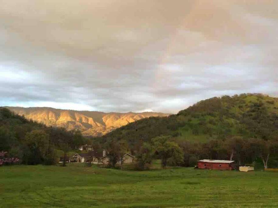 Waxberry Getaway Sequoia/Kings Canyon National Pks Yokuts Valley  Ngoại thất bức ảnh