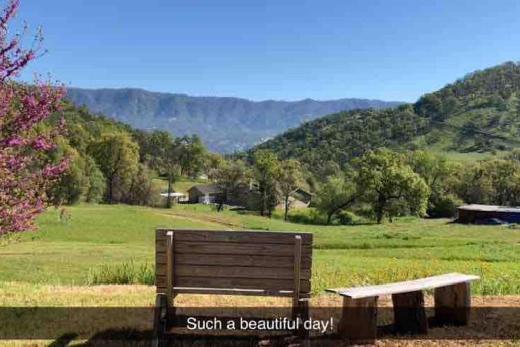 Waxberry Getaway Sequoia/Kings Canyon National Pks Yokuts Valley  Ngoại thất bức ảnh